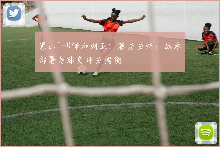 黑山1-0保加利亚：赛后分析，战术部署与球员评分揭晓